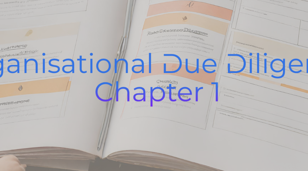 Chapter 1 – Organisational Due Diligence Playbook.