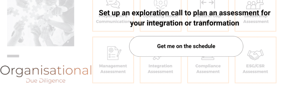 Integration Progress Integration Management Office and Governance - Versatile Consulting